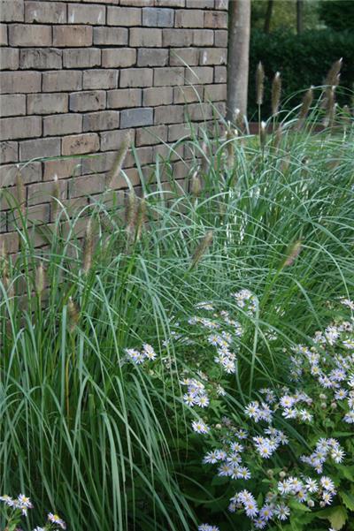 Tuinarchitect Ilse De Schuyter Essen